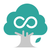Icon 3