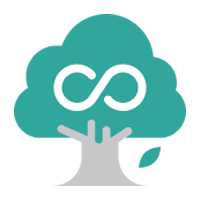 Icon 1